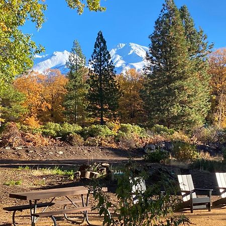 Basecamp Lodge Mount Shasta Εξωτερικό φωτογραφία
