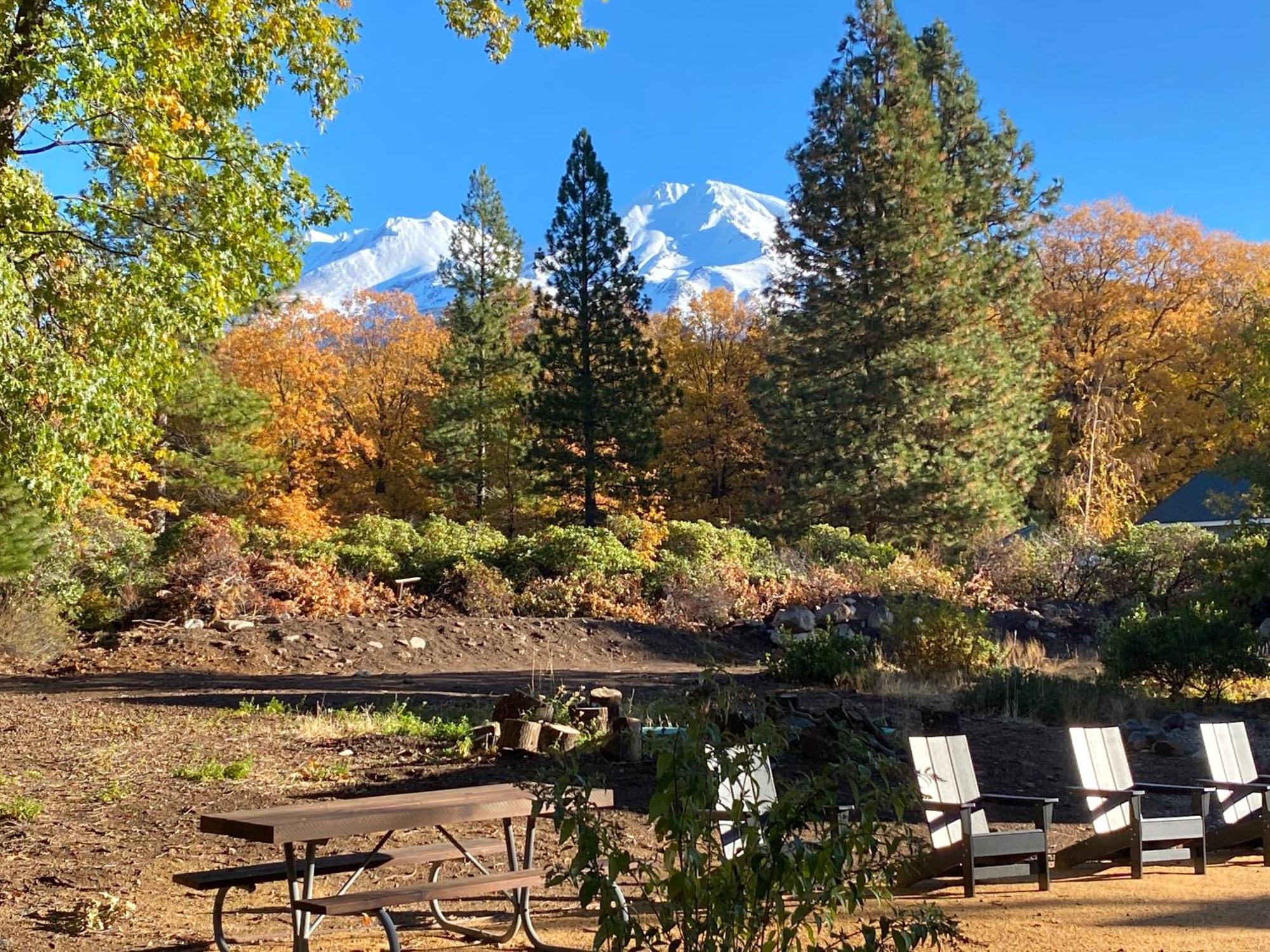 Basecamp Lodge Mount Shasta Εξωτερικό φωτογραφία